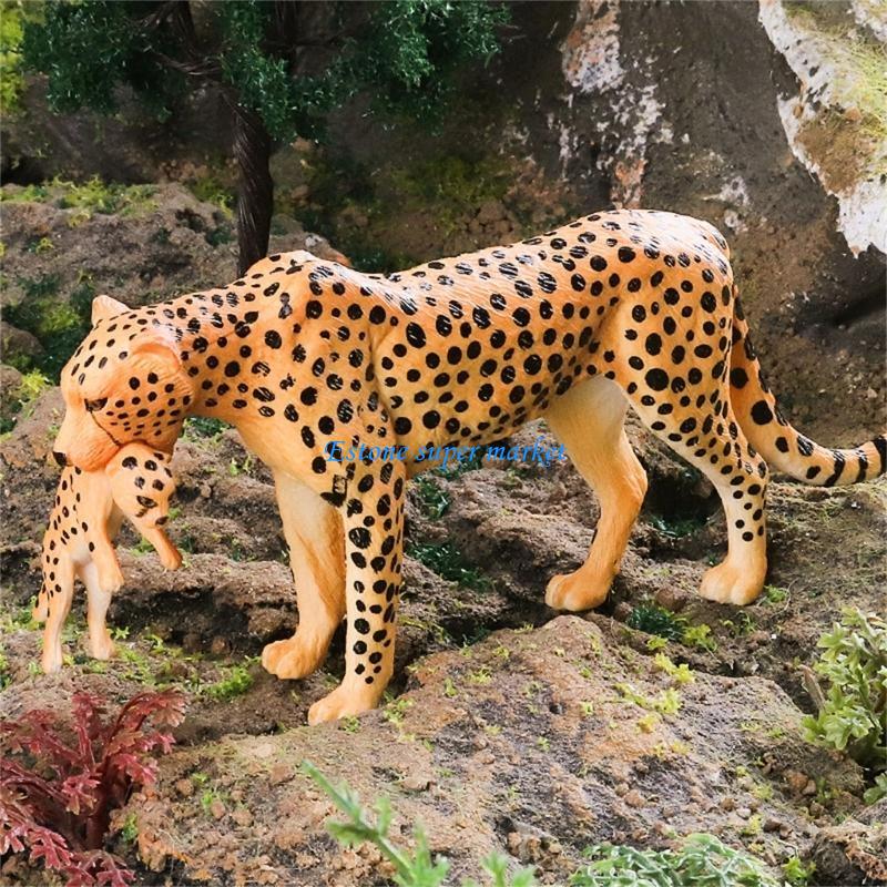 Science Exhibition Models - 090B 교육용 디스플레이에 완벽한 상세한 치타