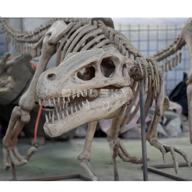Science Exhibition Models - ATV&UTV 레진 랩터 골격 화석 공룡