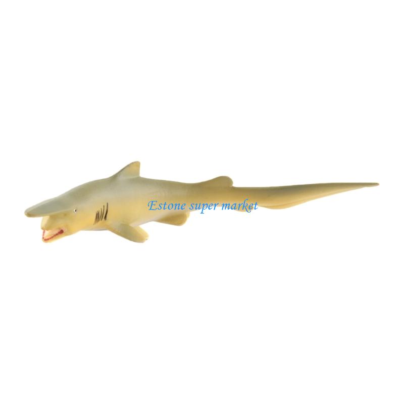 090B Moray 물고기 모델 어린이와 수집가를위한  - Science Exhibition Models 리뷰 및 가격