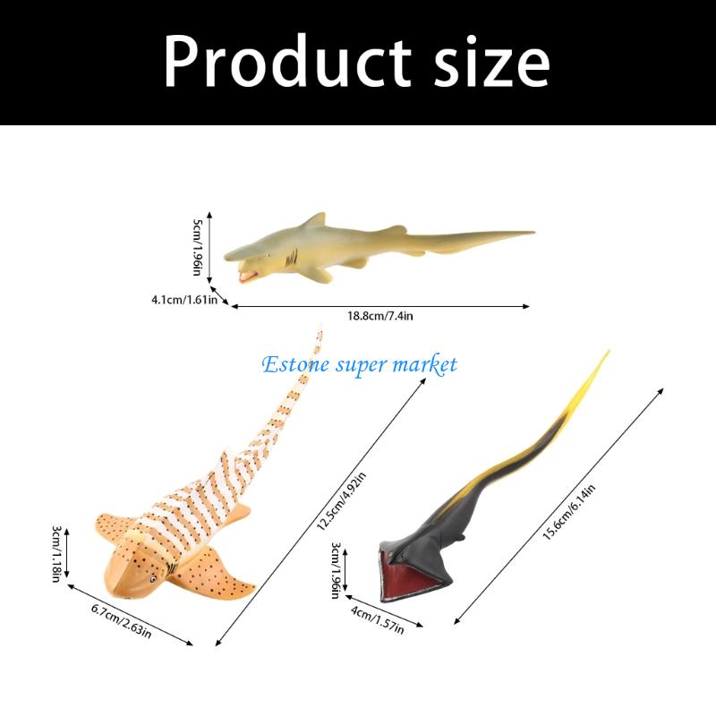 090B Moray 물고기 모델 어린이와 수집가를위한  - Science Exhibition Models 리뷰 및 가격