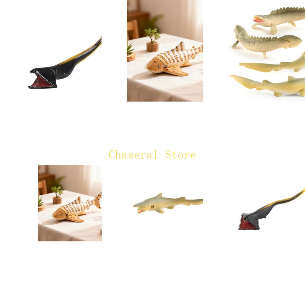 E7CE 물고기 장난감 동물 매니아를 위한 정통 Mor - Science Exhibition Models 리뷰 및 가격
