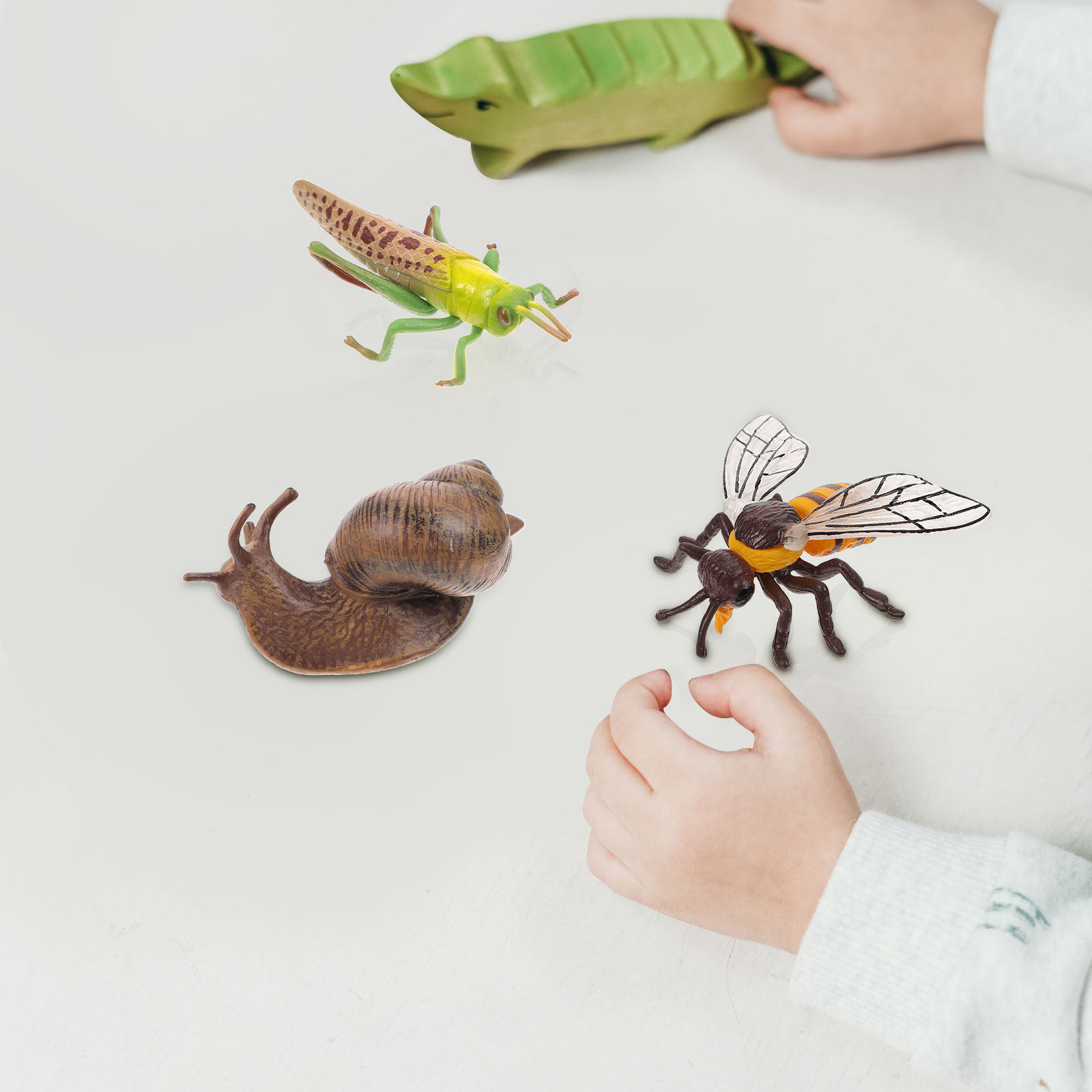 곤충 발달 시뮬레이션 4세트, 생생한 교육용 전시 세트 - Science Exhibition Models 리뷰 및 가격