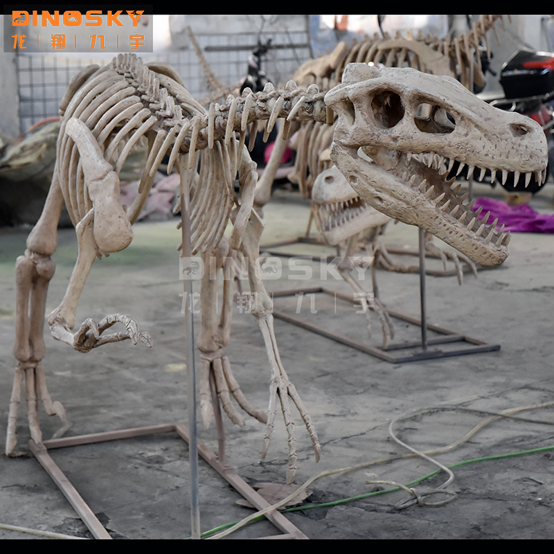 ATV&UTV 레진 랩터 골격 화석 공룡 모형 (전시  - Science Exhibition Models 리뷰 및 가격