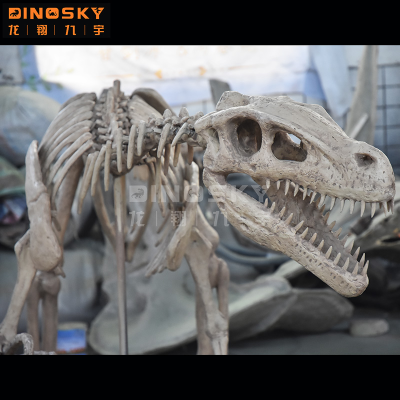 ATV&UTV 레진 랩터 골격 화석 공룡 모형 (전시  - Science Exhibition Models 리뷰 및 가격